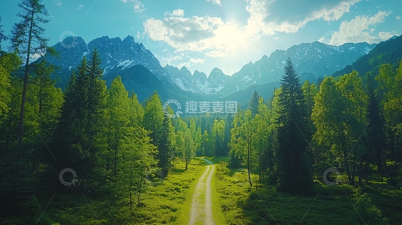 高清大图下载【趣麦麦图】绿色森林间的道路通向远山