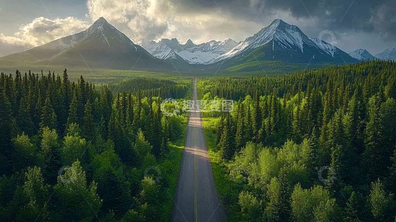 高清大图下载【趣麦麦图】森林公路远眺雪山