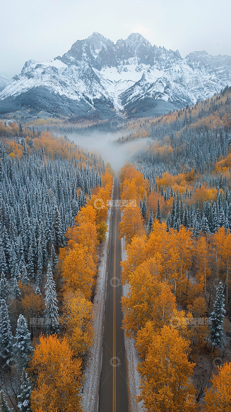 高清大图下载【趣麦麦图】雪山下的金色秋景大道