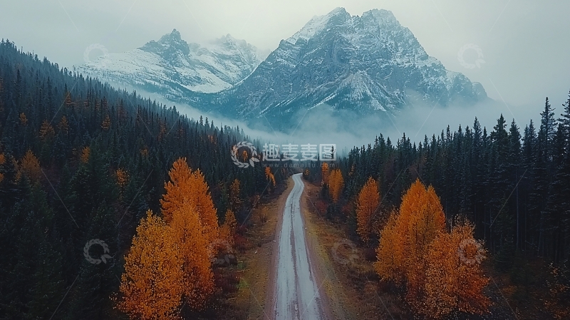 高清大图下载【趣麦麦图】秋季山路森林雪山