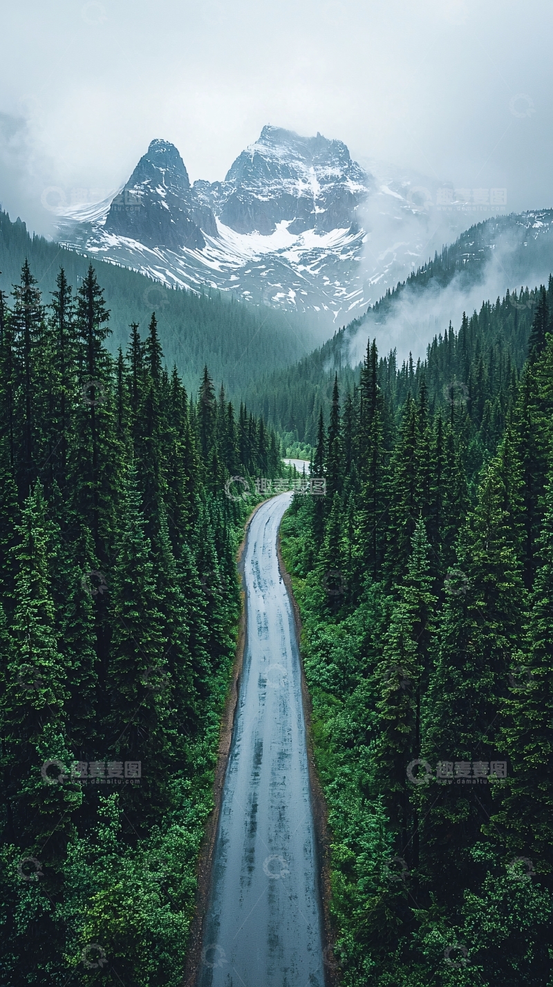 高清大图下载【趣麦麦图】通往雪山的森林公路