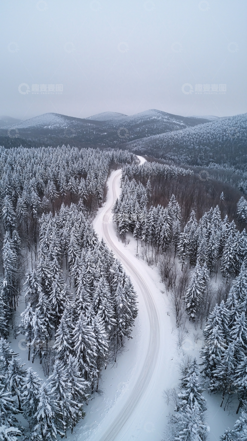 高清大图下载【趣麦麦图】雪覆盖的森林公路