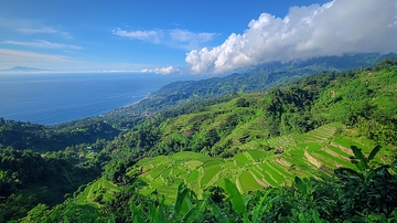 碧海青山稻田相映成趣