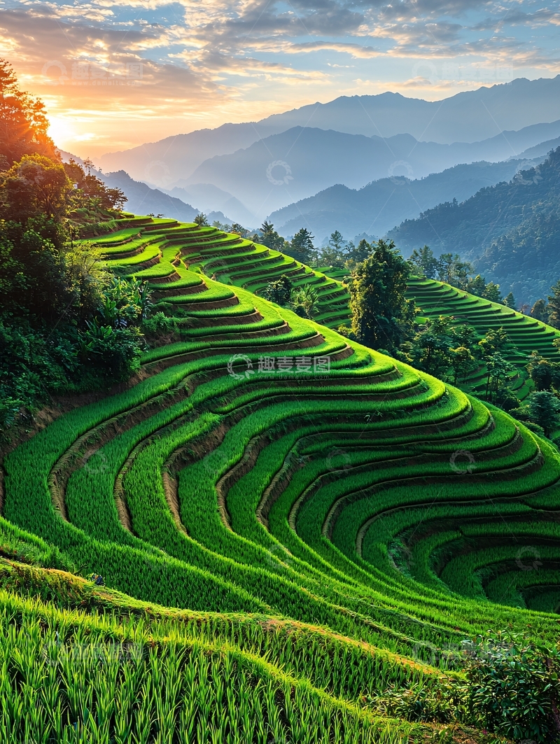 高清大图下载【趣麦麦图】层层叠叠的梯田日出