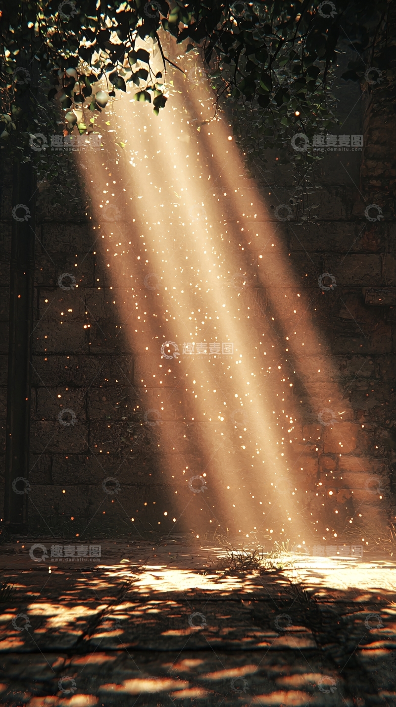 高清大图下载【趣麦麦图】穿透树叶的光线