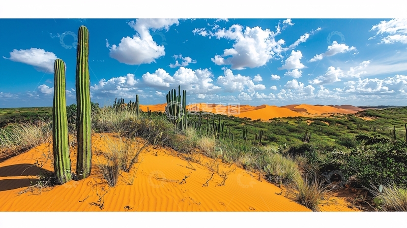 高清大图下载【趣麦麦图】沙漠仙人掌蓝天白云
