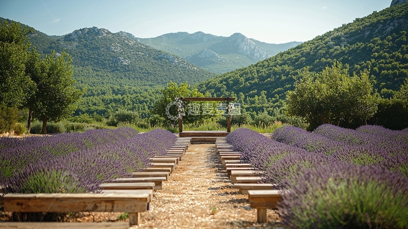 高清大图下载【趣麦麦图】薰衣草田园婚礼场景