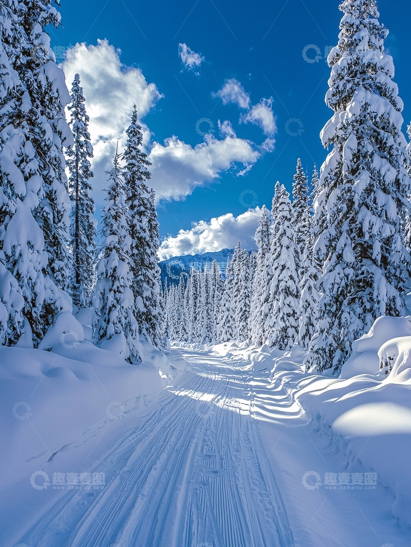 高清大图下载【趣麦麦图】雪地森林小路