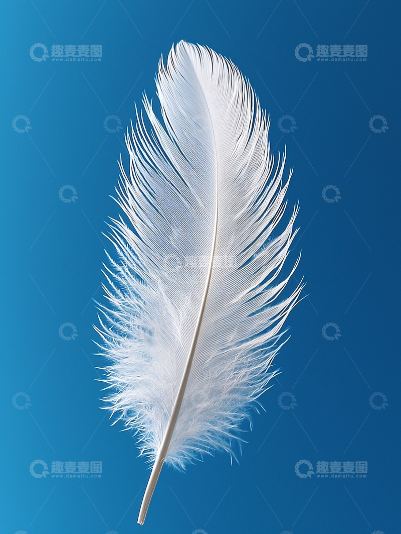 高清大图下载【趣麦麦图】白色羽毛在蓝色背景上