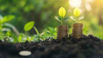 绿色植物与金钱