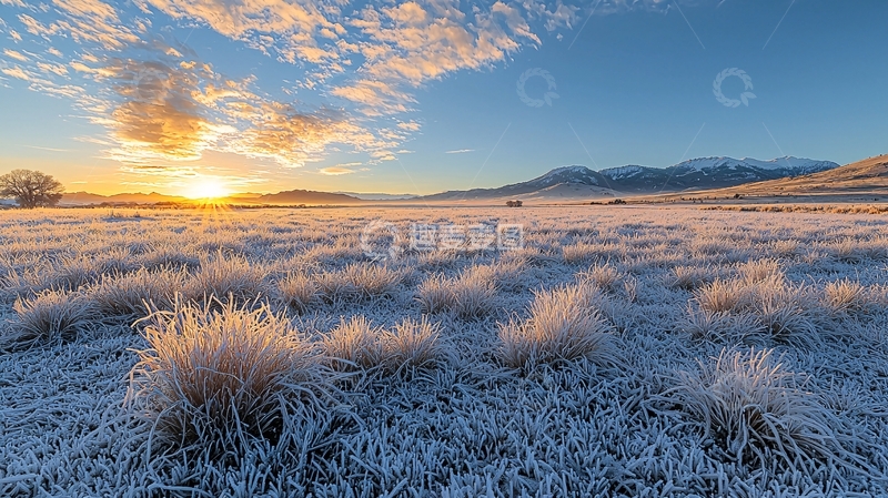高清大图下载【趣麦麦图】初升的太阳照耀着冰冻的草地