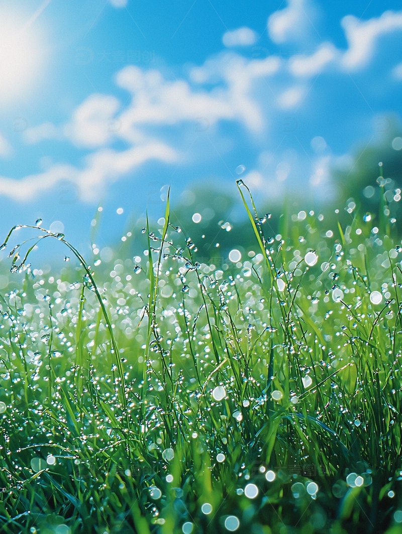 高清大图下载【趣麦麦图】草地上的露珠晶莹剔透