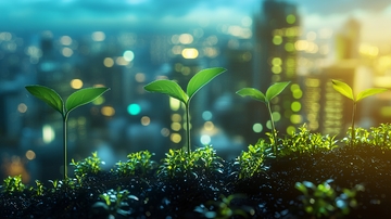 城市夜景背景下的幼苗