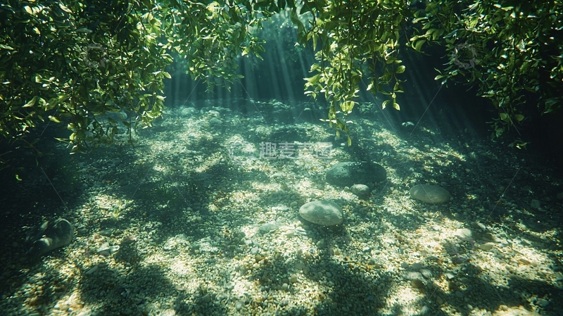 高清大图下载【趣麦麦图】水下光影婆娑的森林