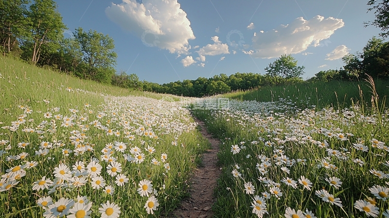 高清大图下载【趣麦麦图】鲜花盛开的田野小路