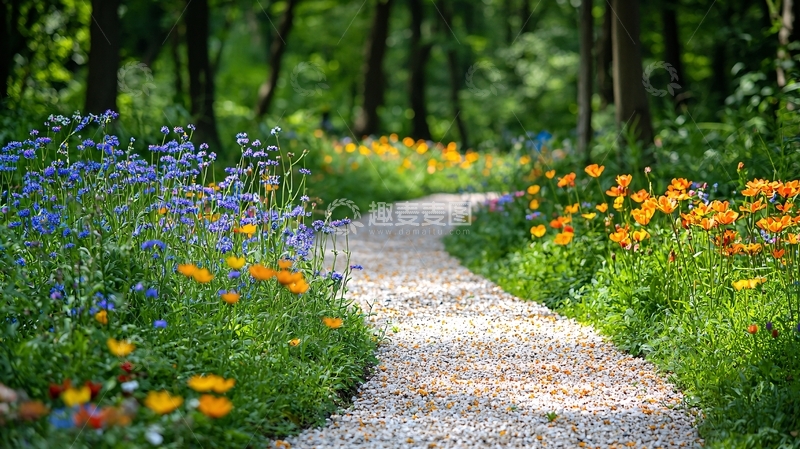 高清大图下载【趣麦麦图】花园小径鲜花盛开