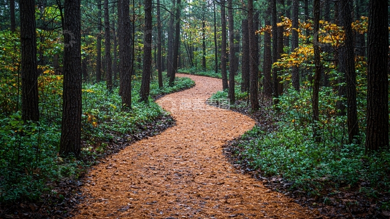 高清大图下载【趣麦麦图】秋日森林小路