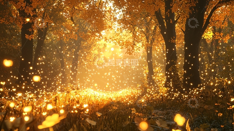 高清大图下载【趣麦麦图】秋日森林金色光辉