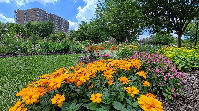 高清大图下载【趣麦麦图】城市花园鲜花盛开