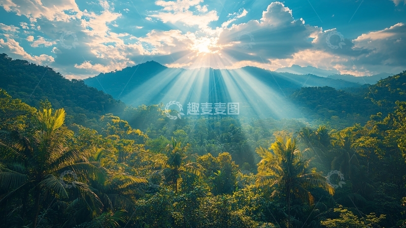 高清大图下载【趣麦麦图】阳光穿过森林的光束