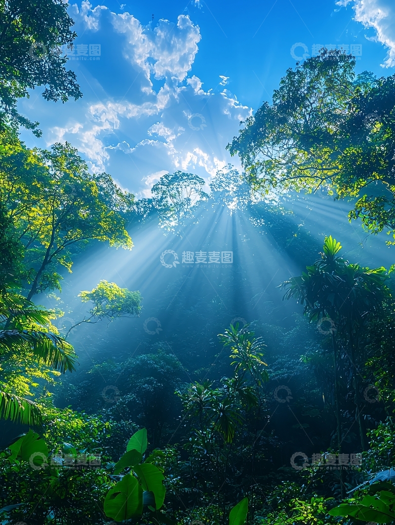 高清大图下载【趣麦麦图】森林阳光透过树叶