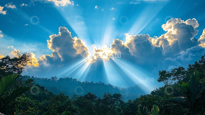 高清大图下载【趣麦麦图】阳光穿透云层森林