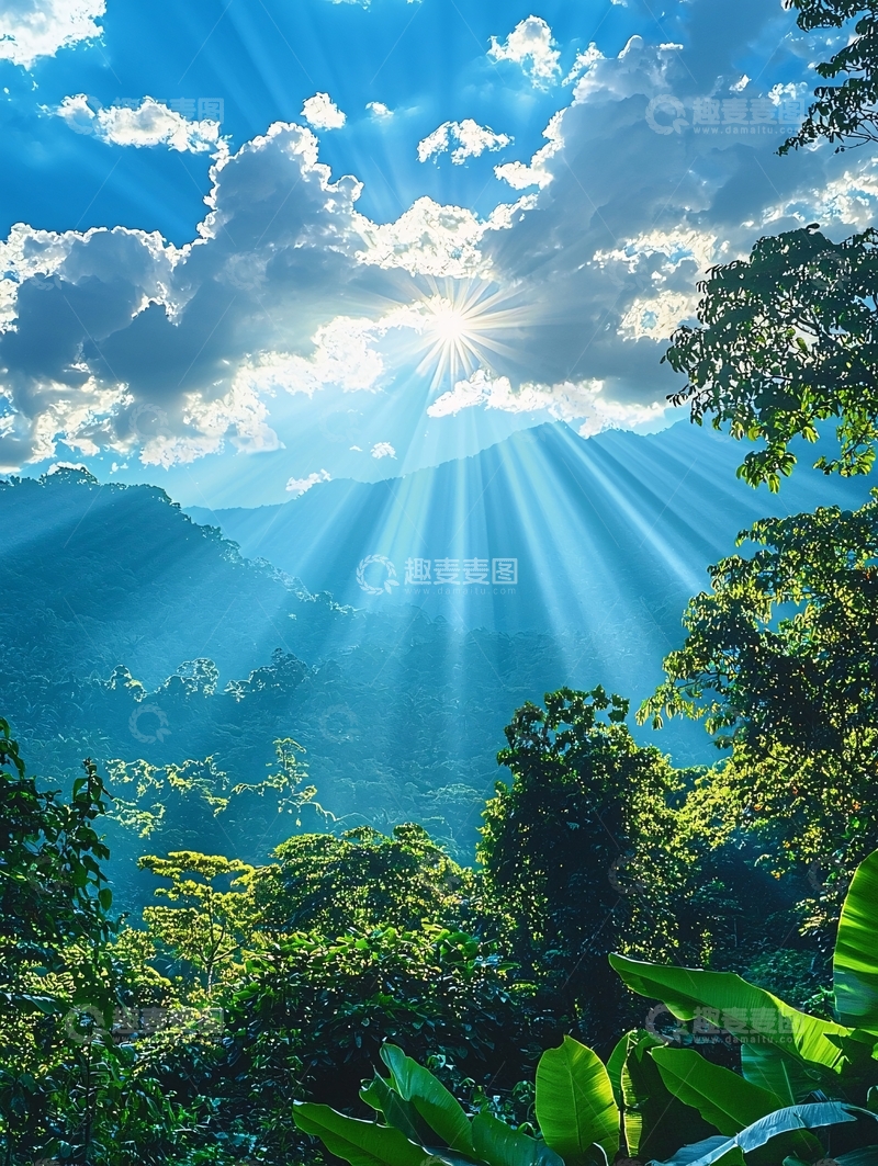 高清大图下载【趣麦麦图】阳光穿透云层照耀森林
