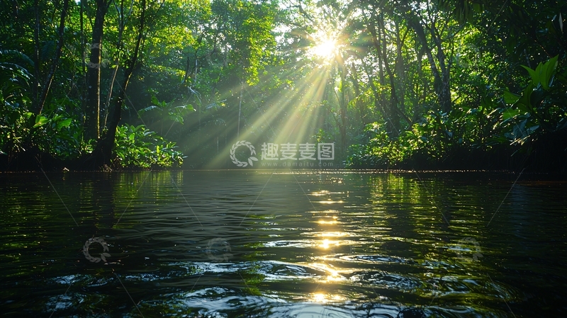 高清大图下载【趣麦麦图】阳光穿透树林照亮湖面