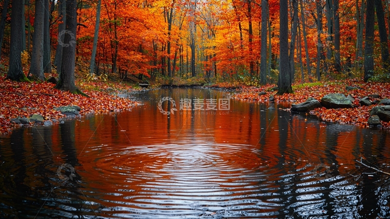 高清大图下载【趣麦麦图】秋日森林河流景色