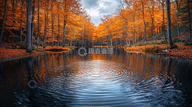 高清大图下载【趣麦麦图】秋日森林中的宁静湖面