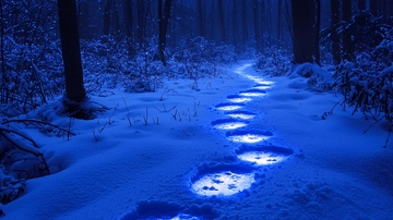 蓝光雪地足迹小路