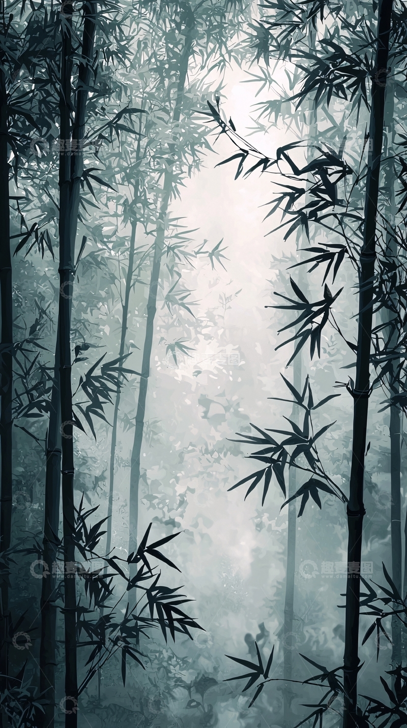 高清大图下载【趣麦麦图】雾气缭绕的竹林