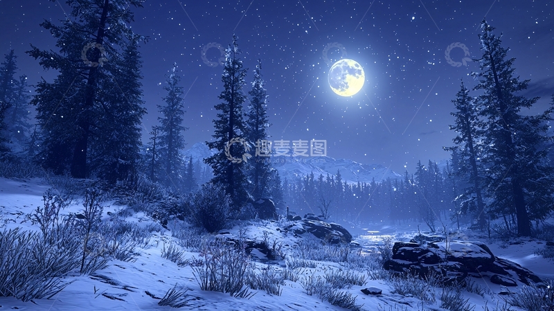 高清大图下载【趣麦麦图】冬夜雪景