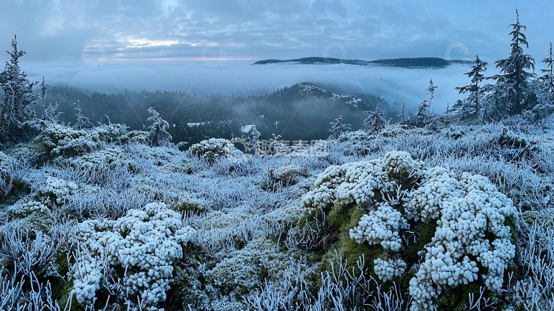 高清大图下载【趣麦麦图】冰霜覆盖的山顶景色