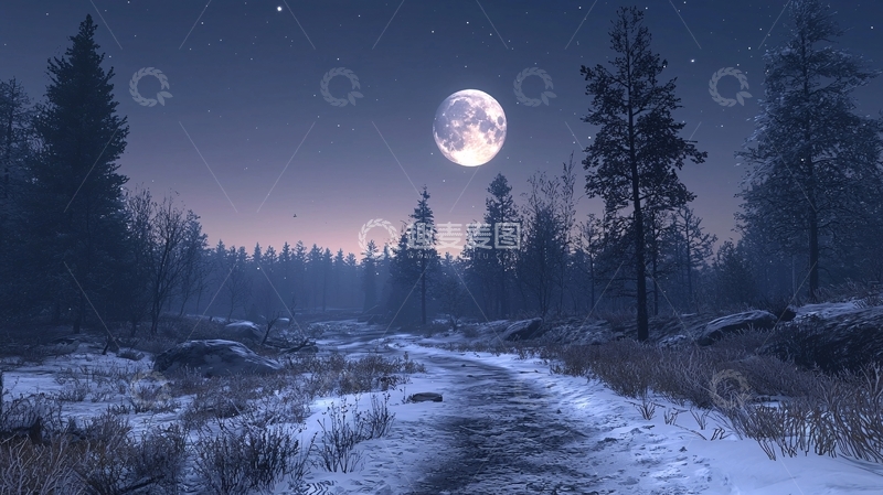 高清大图下载【趣麦麦图】夜晚森林月亮