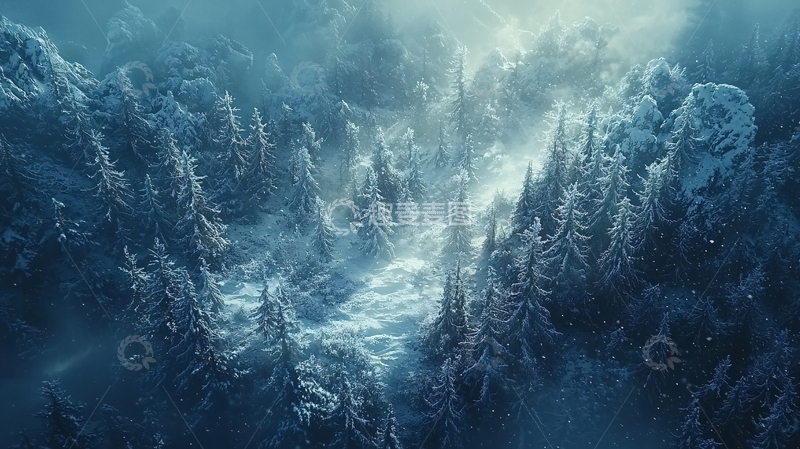 高清大图下载【趣麦麦图】冰雪覆盖的针叶林全景