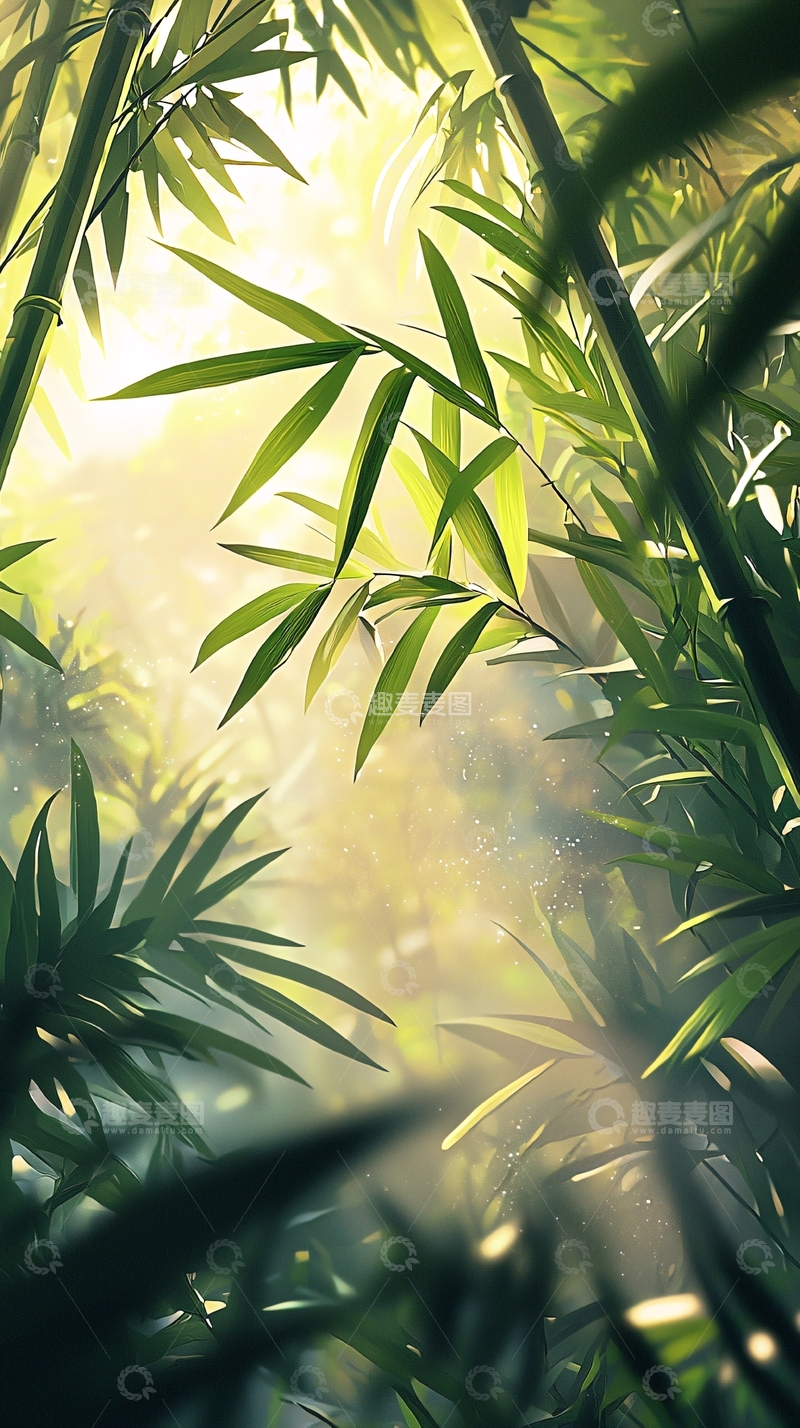 高清大图下载【趣麦麦图】阳光透过竹林