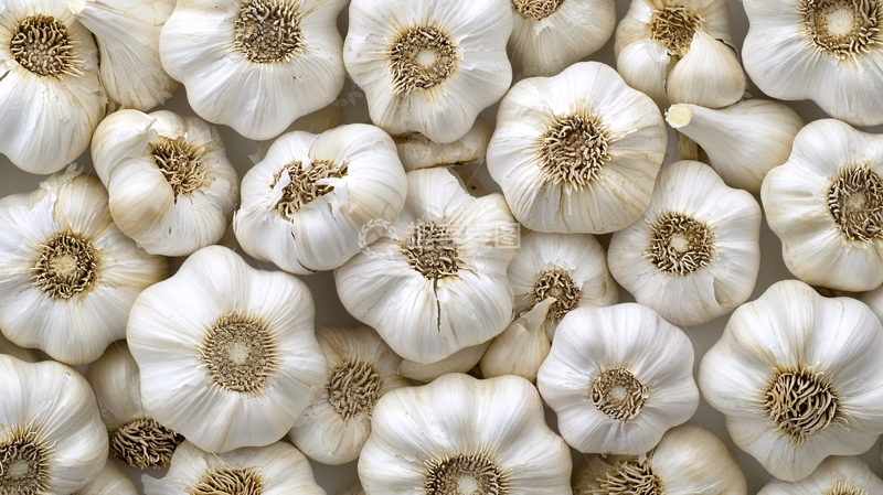 高清大图下载【趣麦麦图】大蒜特写