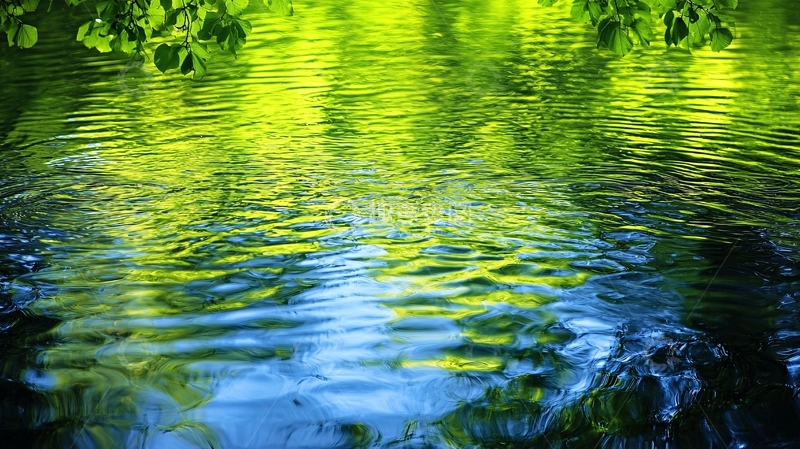 高清大图下载【趣麦麦图】树叶在水中的倒影