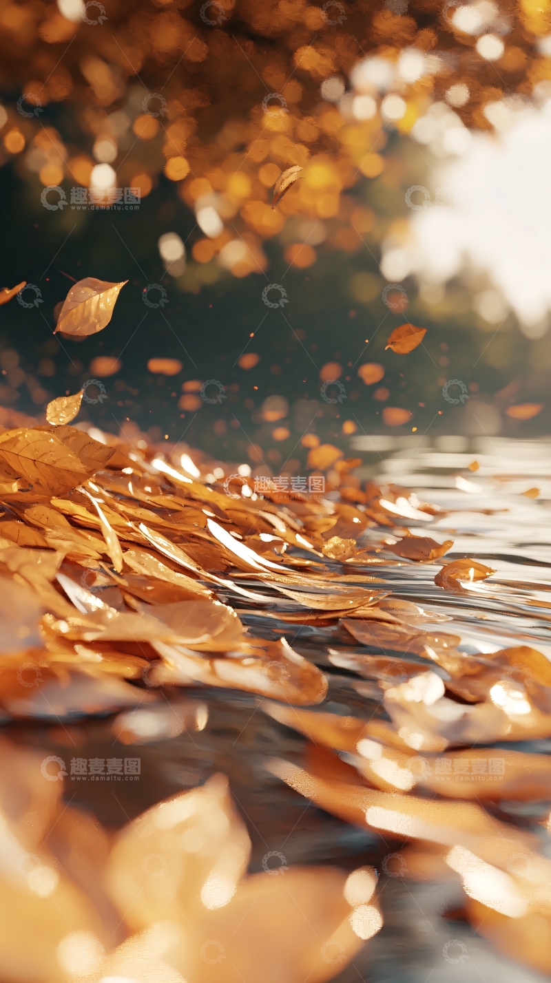 高清大图下载【趣麦麦图】秋日落叶水面