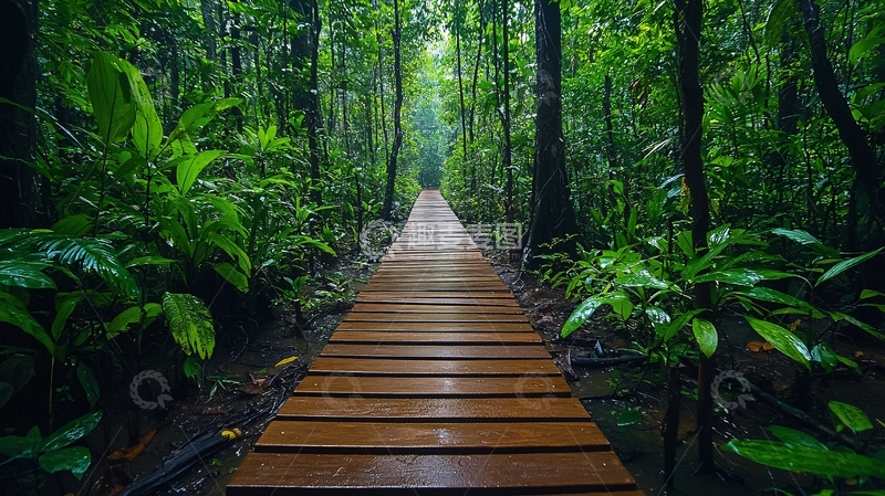 高清大图下载【趣麦麦图】森林中的木板路