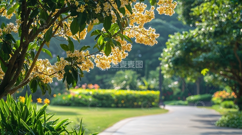 高清大图下载【趣麦麦图】公园小径
