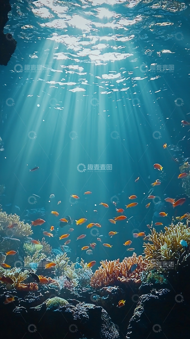高清大图下载【趣麦麦图】深海珊瑚礁鱼群阳光