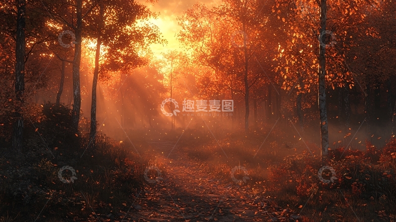 高清大图下载【趣麦麦图】秋日森林阳光穿透薄雾