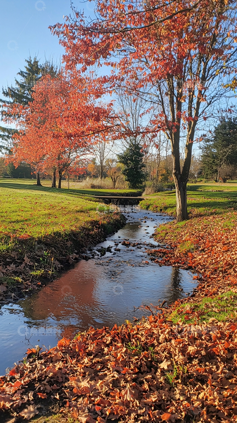 高清大图下载【趣麦麦图】秋日小溪流水潺潺