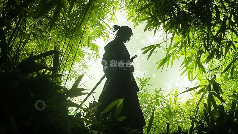 高清大图下载【趣麦麦图】武士