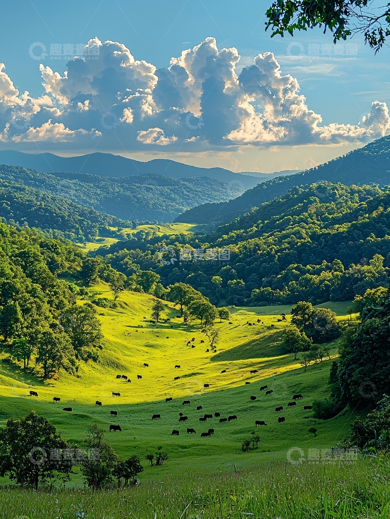 高清大图下载【趣麦麦图】绿色山谷中牛群吃草的景象