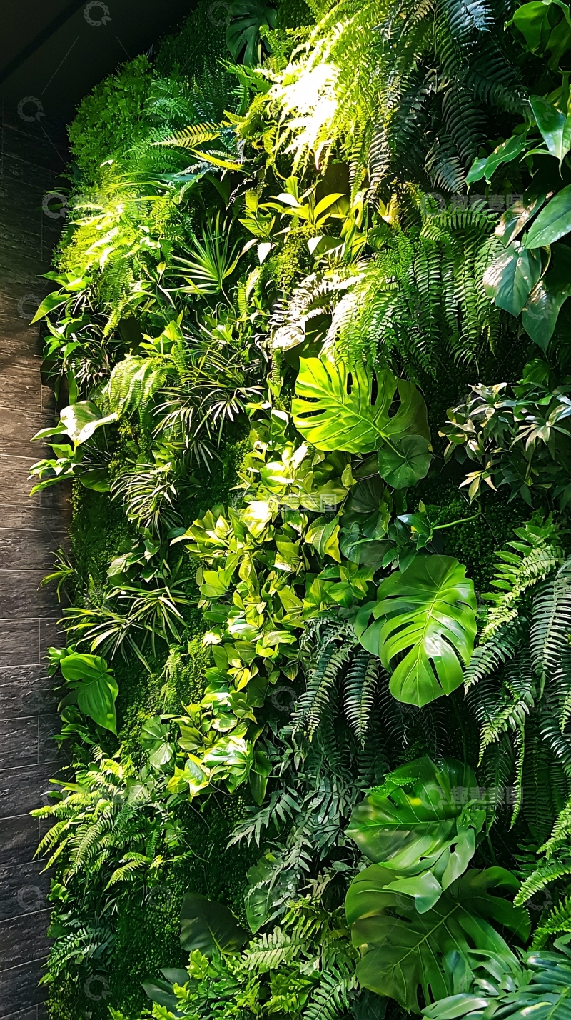 高清大图下载【趣麦麦图】绿色植物墙面垂直花园