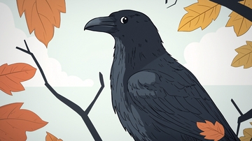 秋季树枝上的乌鸦