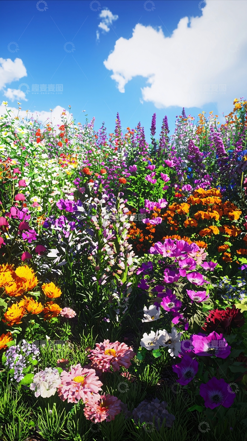 高清大图下载【趣麦麦图】阳光下五彩缤纷的花田